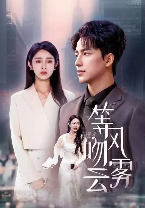 无声回响 热播电视剧全集手机免费在线观看